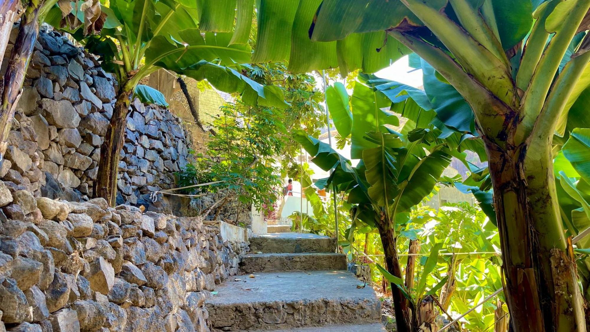 Casa Minga & Tatol Villa Ribeira Grande Buitenkant foto